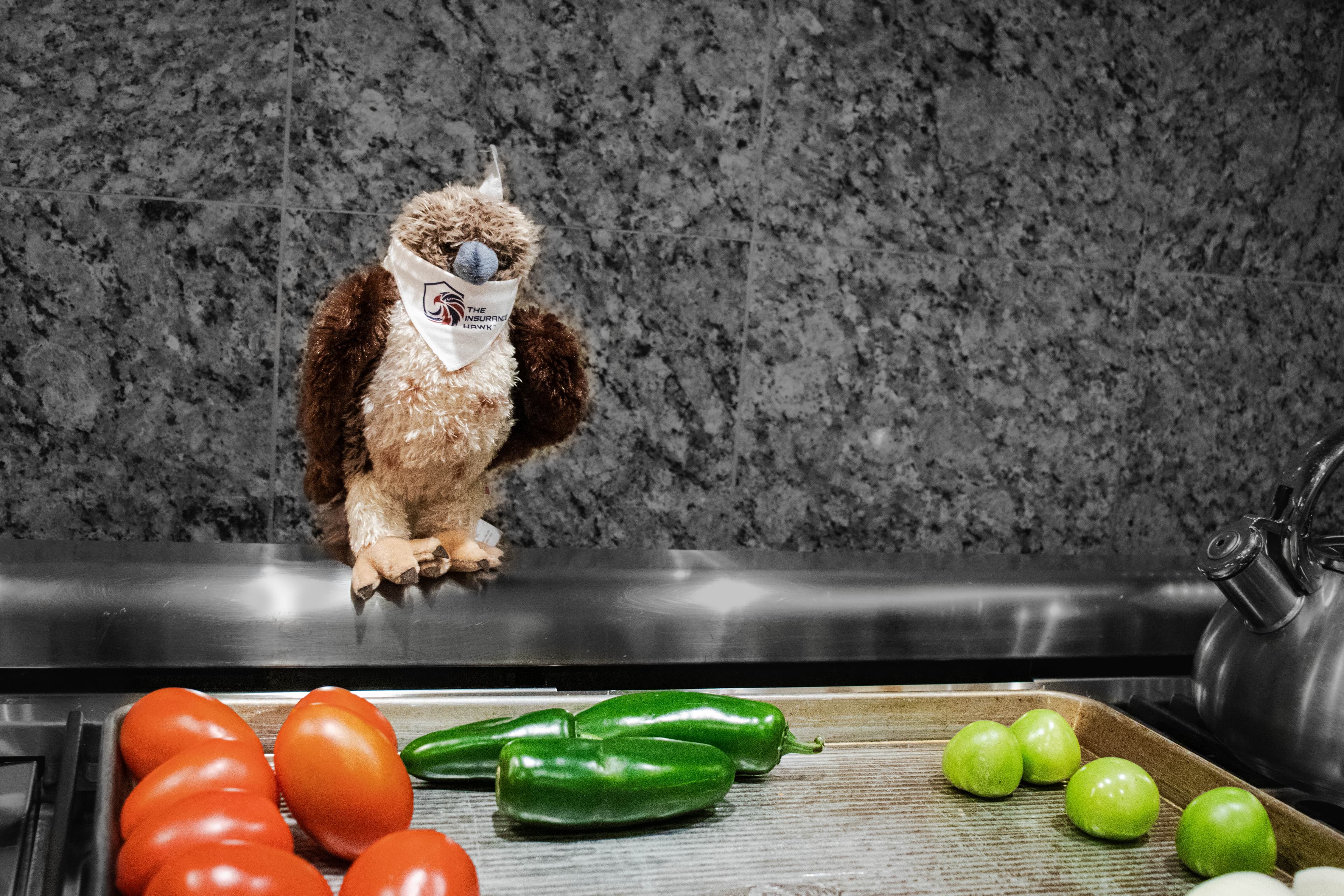 Small hawk perched near produce indoors